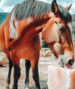 Animal Licking Salt